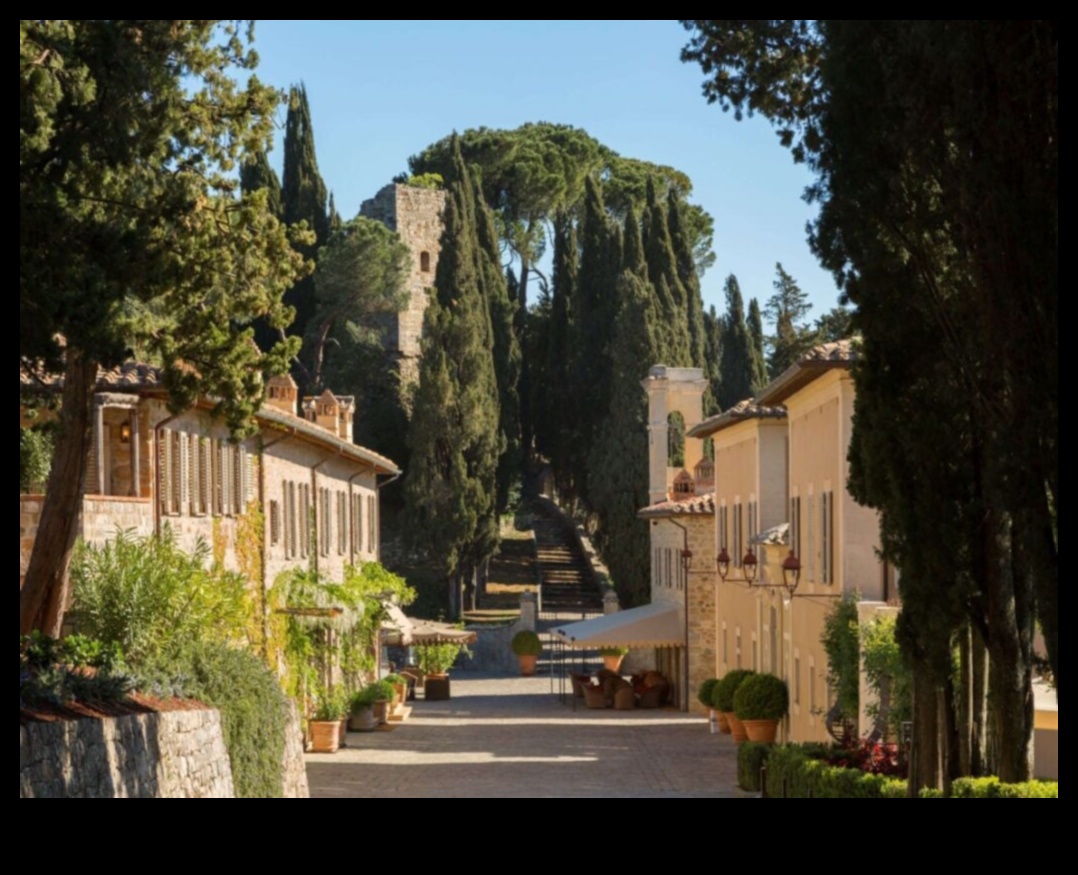 Epicurean Rides: The Culinary and Automotive Blend of Luxury Cars