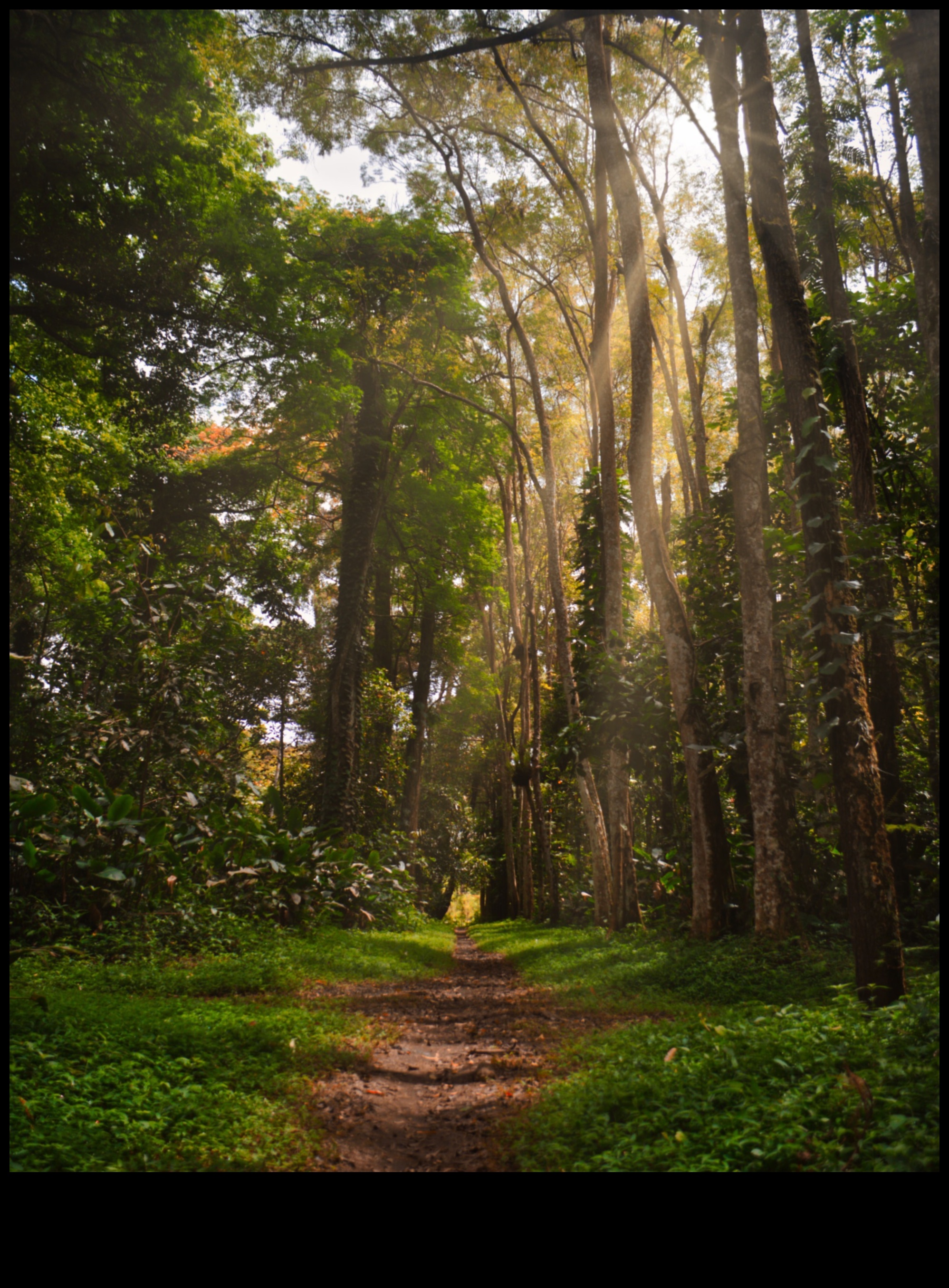Whispers of Earth: Μια συλλογή από γαλήνια και ήρεμα τοπία σε κάθε κάδρο