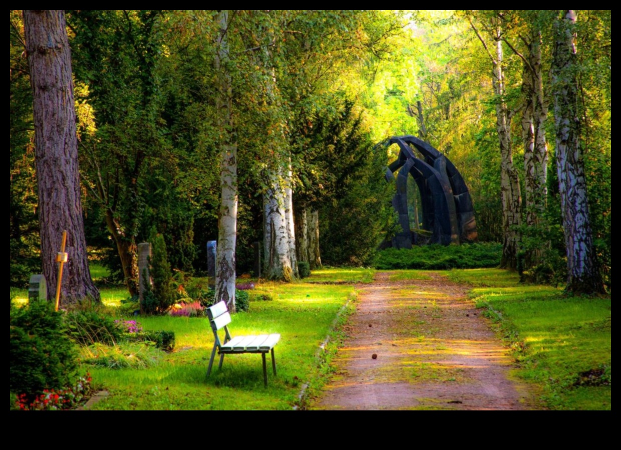 Whispers of Earth: Μια συλλογή από γαλήνια και ήρεμα τοπία σε κάθε κάδρο