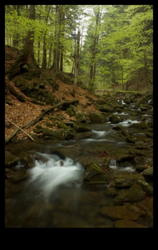 Whispers of Earth: Μια συλλογή από γαλήνια και ήρεμα τοπία σε κάθε κάδρο