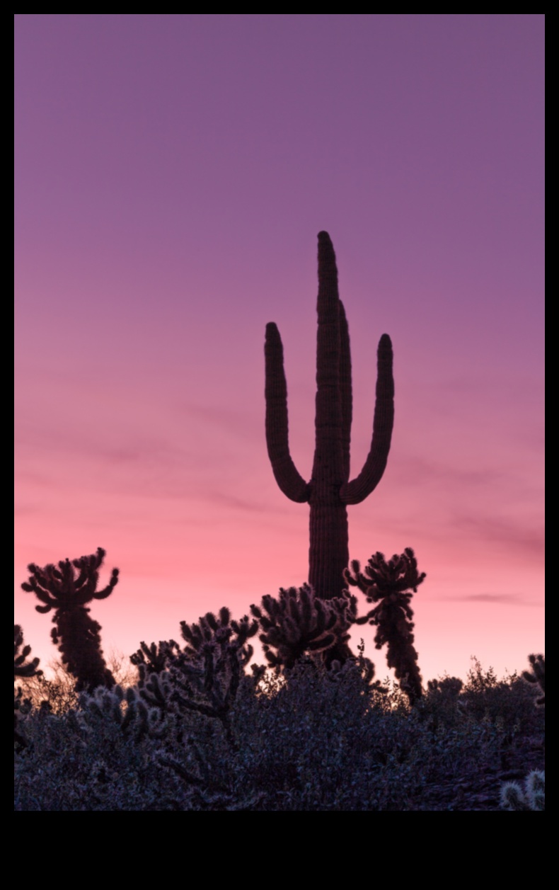 Διαχρονικά εδάφη: Κλασική φωτογραφία τοπίου που αντέχει στα αποκαλυπτήρια