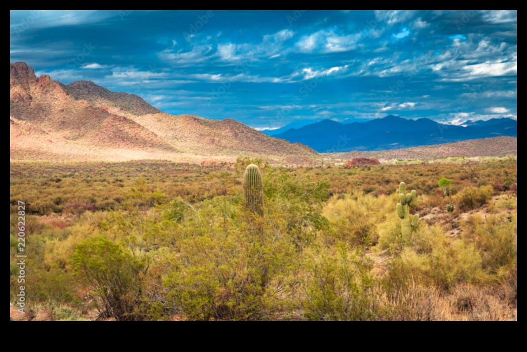 Τα πολλά πρόσωπα του τοπίου 3 Ένας κόσμος σε καρέ: διαφορετικά και όμορφα τοπία