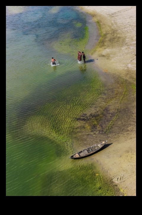 Urban Waterfronts: Riverside Living in the City