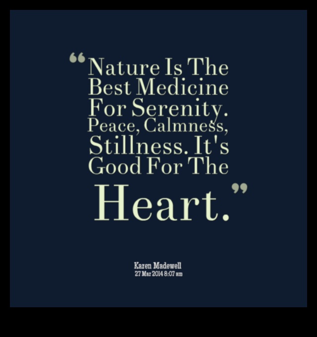 Ήρεμες αντανακλάσεις: Εξερεύνηση ήρεμης και γαλήνιας θέας