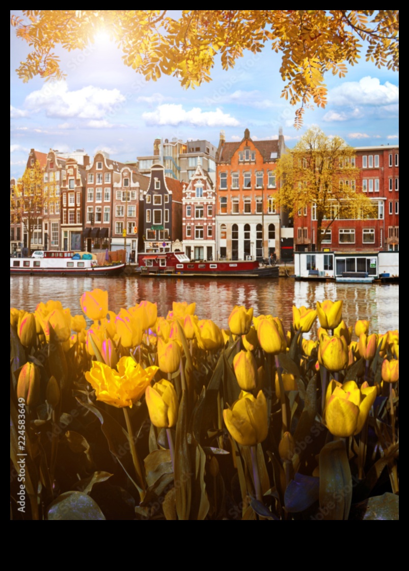 Symphony of Colors: Εξερευνώντας τα Φθινοπωρινά Τοπία