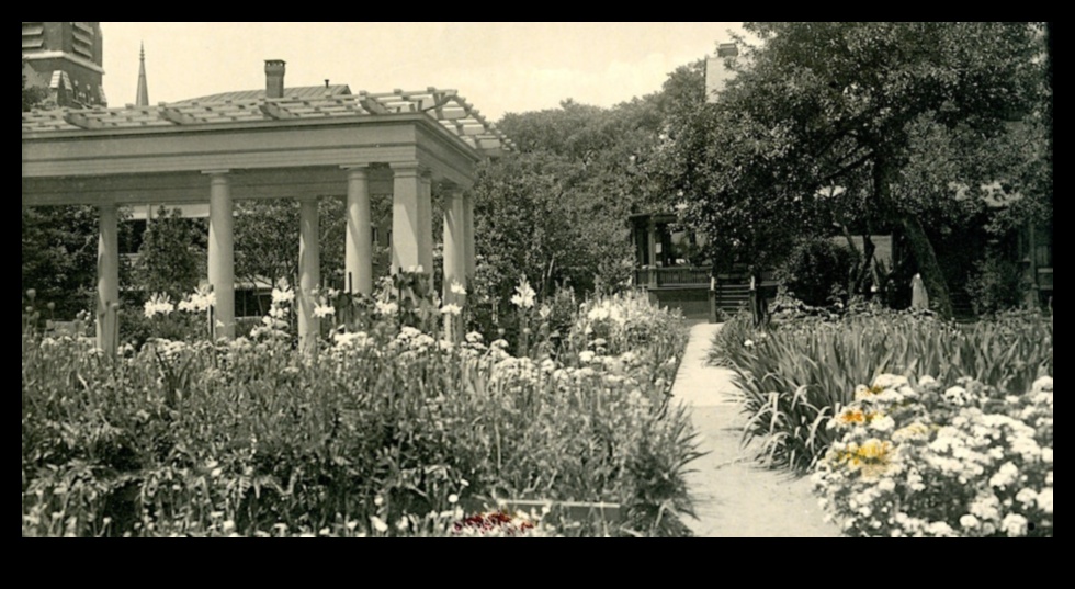 A Walk Through Time: Historical Gardens in Different Eras