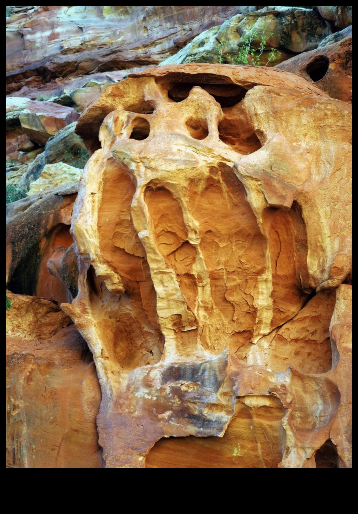 Nature's Sculptures: Land Art That Inspires Wonder