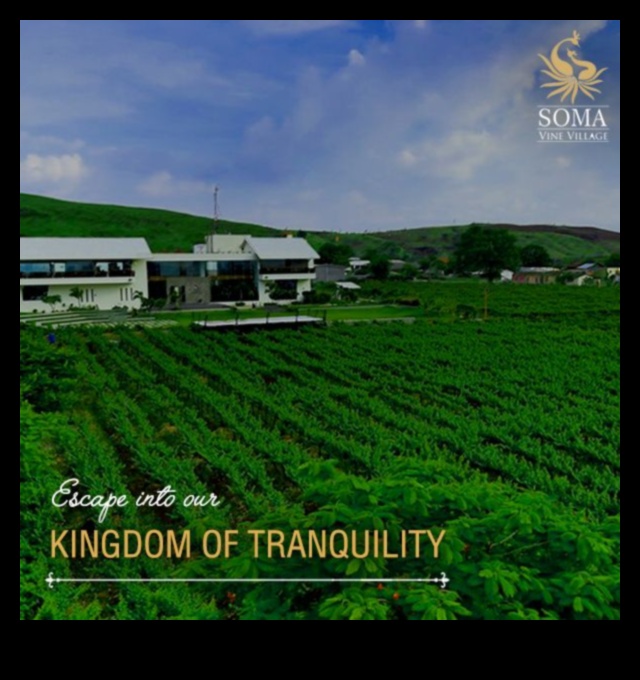 Γοητεία του χωριού: Γραφική θέα στην πόλη και την εξοχή