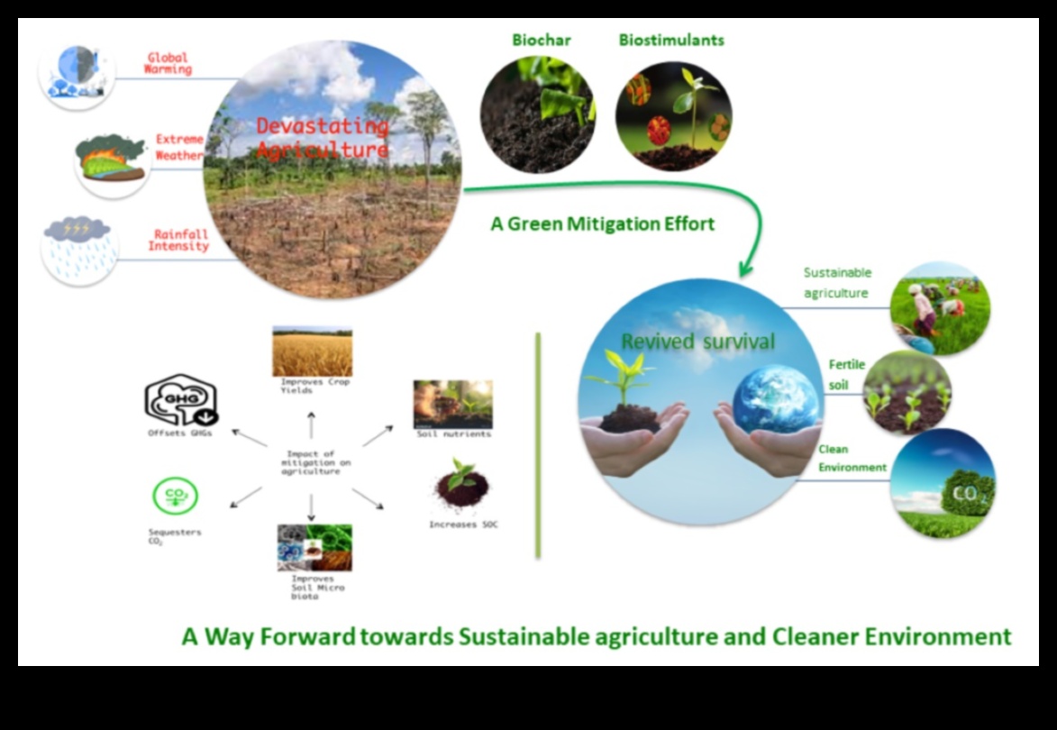 Τοπία που επηρεάζονται από την κλιματική αλλαγή: Μια κραυγή για τη διατήρηση