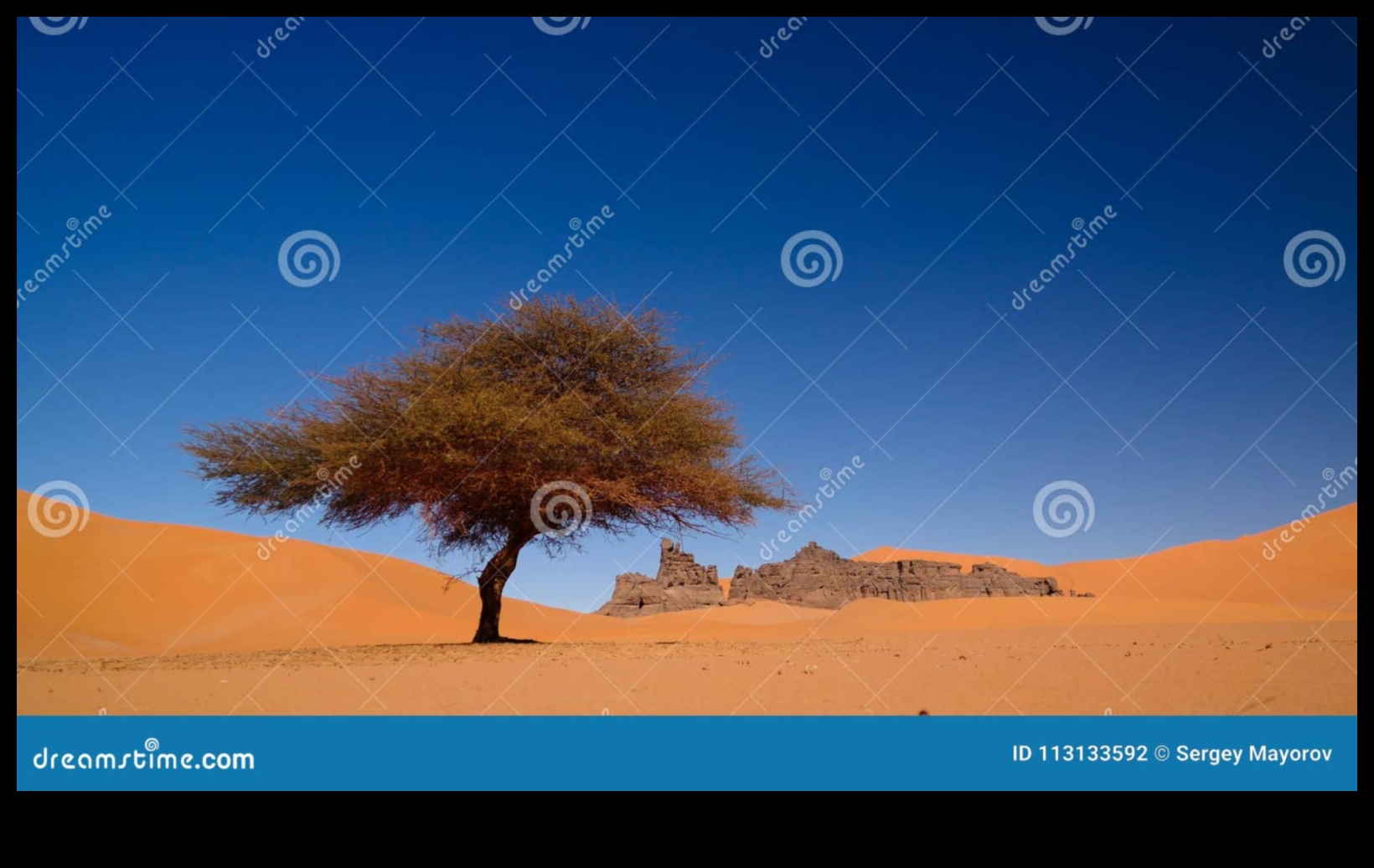 Desert Echoes: Sand Dunes Shaped by the Wind