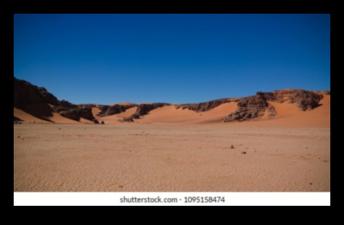 Desert Echoes: Sand Dunes Shaped by the Wind