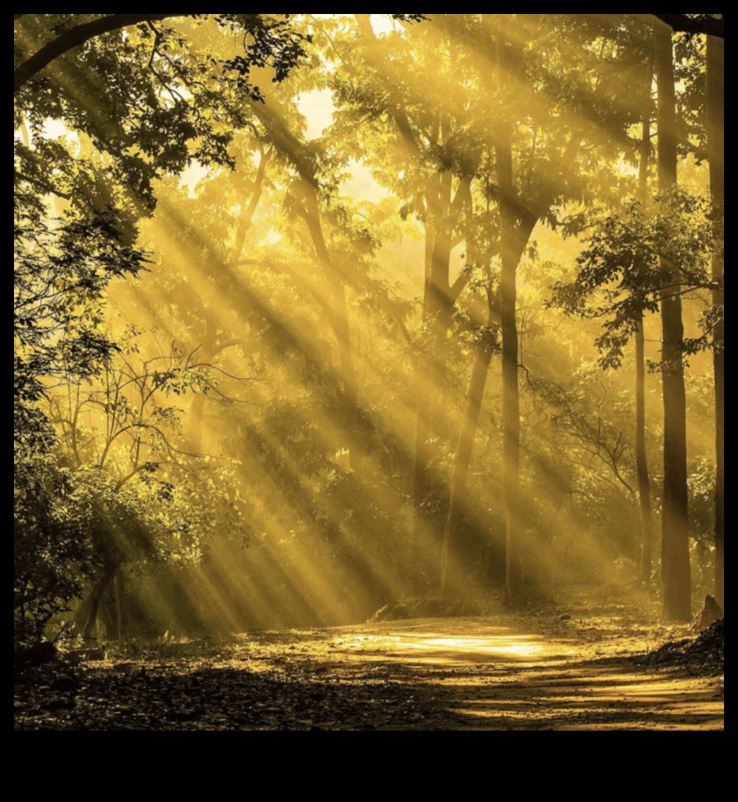 Τοπίο Ευφορία: Εικαστική γιορτή για τους λάτρεις της φύσης