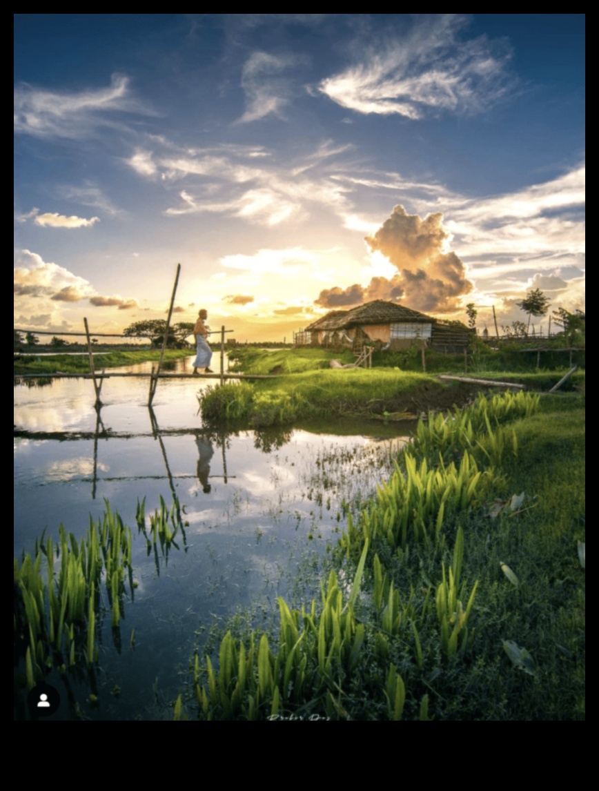 Τοπίο Ευφορία: Εικαστική γιορτή για τους λάτρεις της φύσης