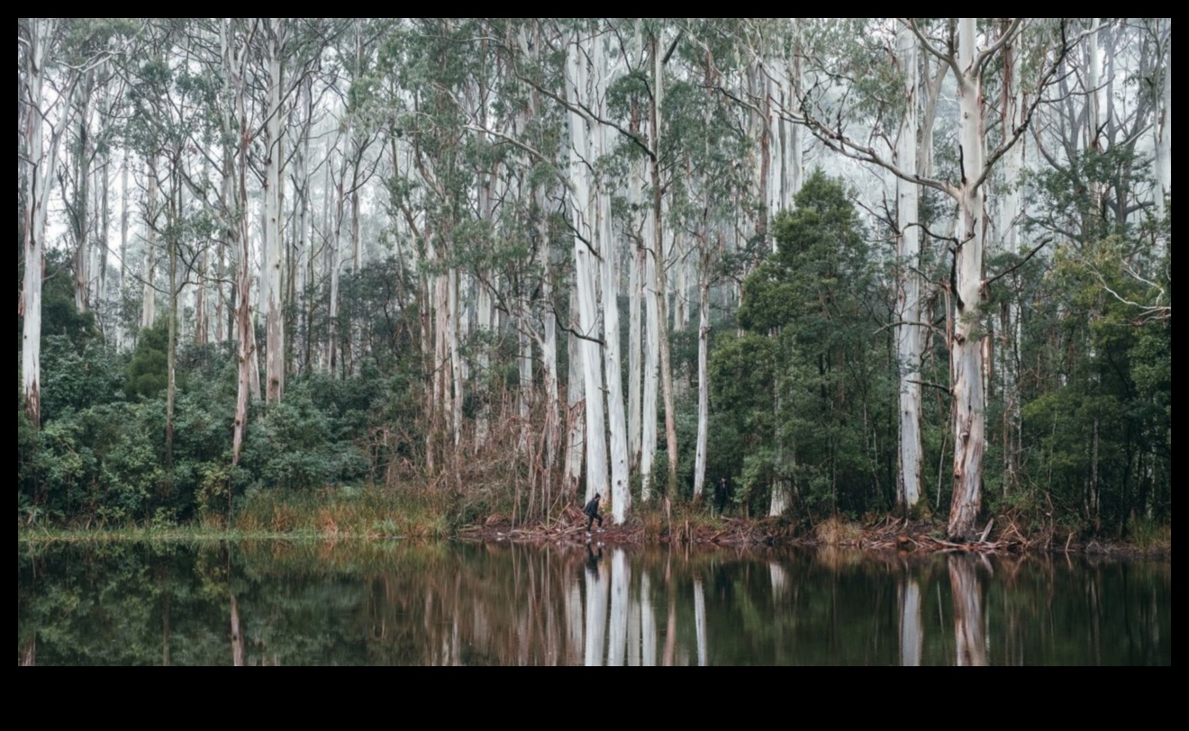 Sculpting Beauty: Nature's Artistry in Majestic Landscape Scenes