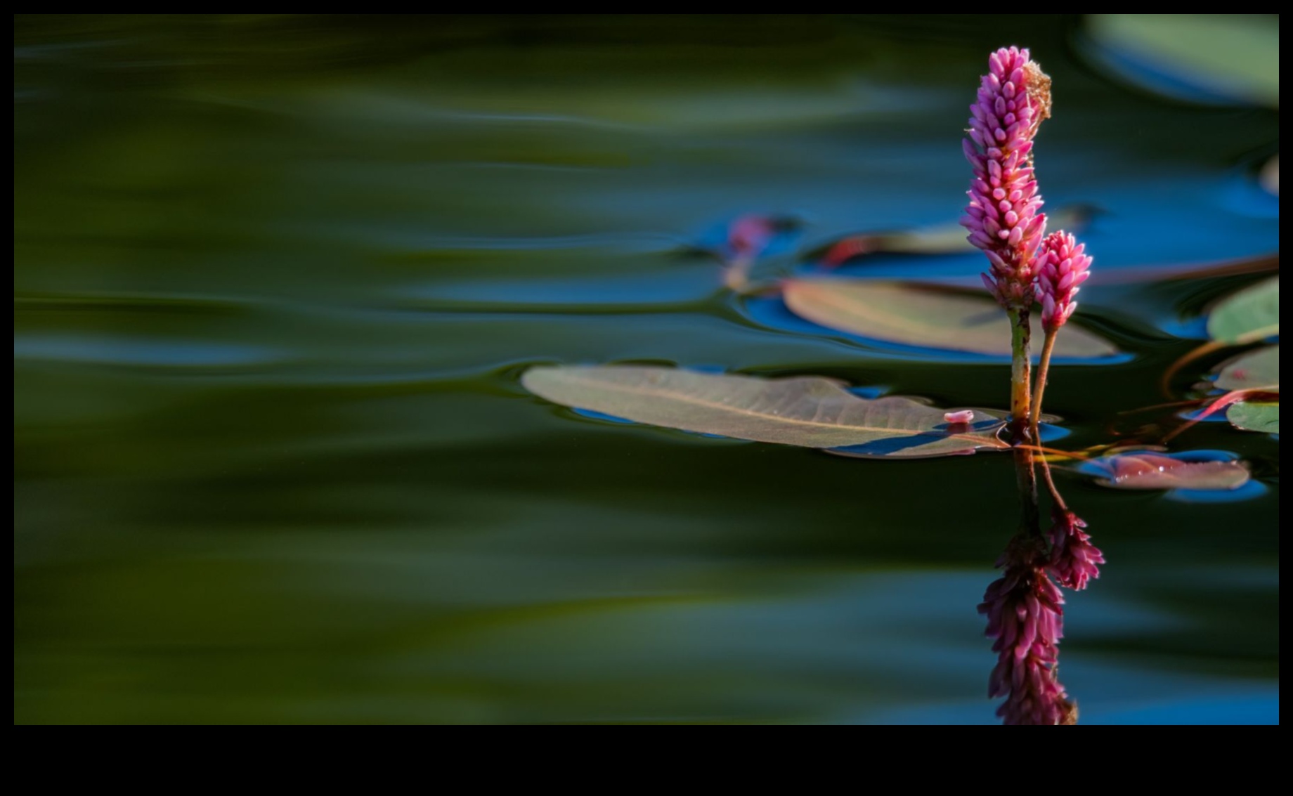 Sculpting Beauty: Nature's Artistry in Majestic Landscape Scenes