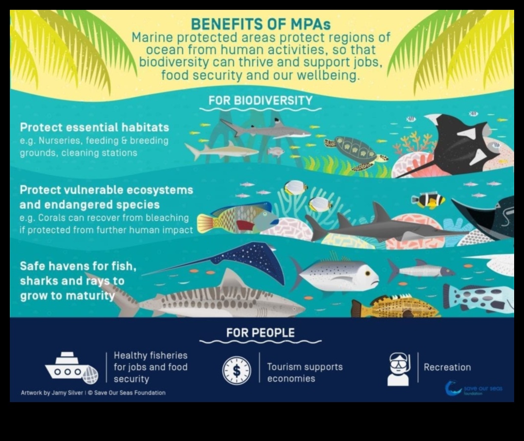 Προστατευόμενες περιοχές Ασφαλή καταφύγια για τη βιοποικιλότητα 2 Προστατευόμενες φυσικές περιοχές: Διατήρηση εστιών βιοποικιλότητας