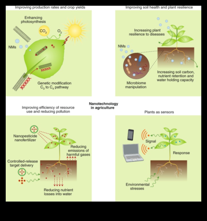 Δημιουργία Impactful Nano Designs: A Professional's Guide to Precision Solutions