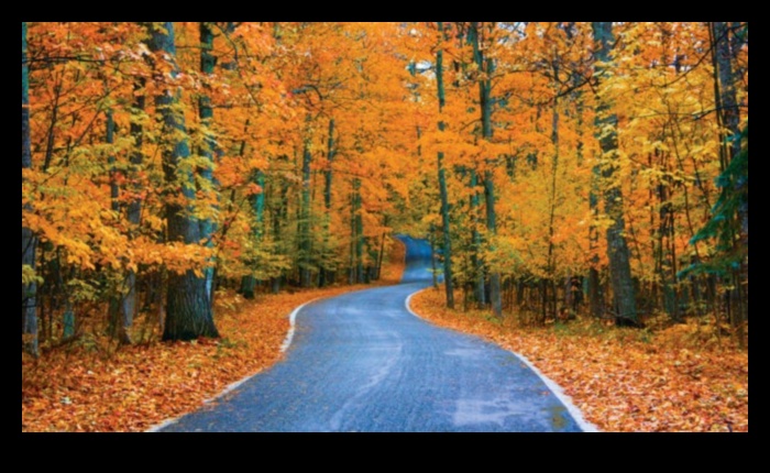 Μια Συμφωνία των Χρωμάτων του Φθινοπώρου 3 Χρώματα φθινοπώρου: Μια παλέτα της μεταμόρφωσης της φύσης