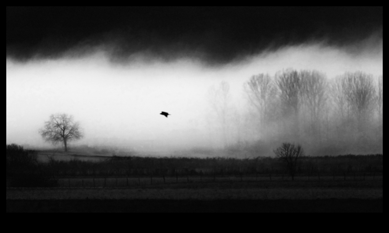 Ο μυστικισμός στο τοπίο 4 Enigmatic Horizons: Mystical Landscapes in Photos