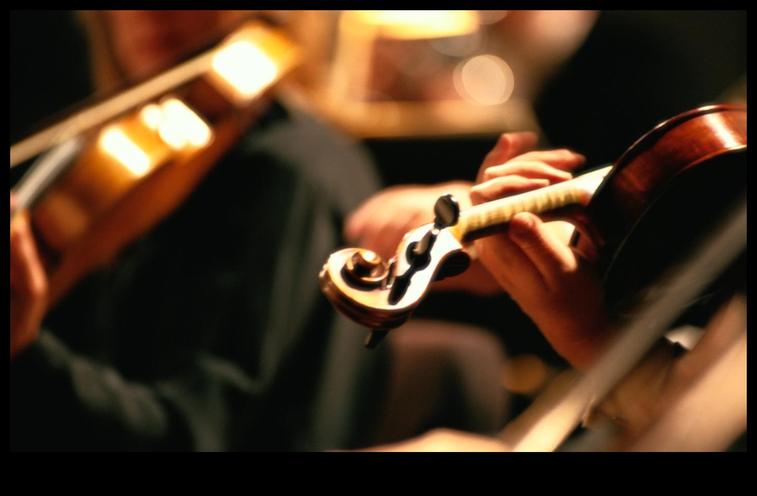 A Symphony of Nature: Harmonizing Landscapes in Every Frame Unveiled