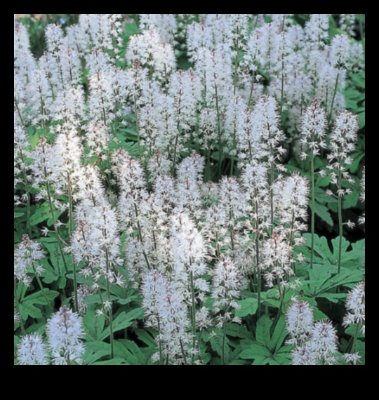 A Symphony of Spring Flowers 3 Blooming Beginnings: Spring Blossoms Unveiled