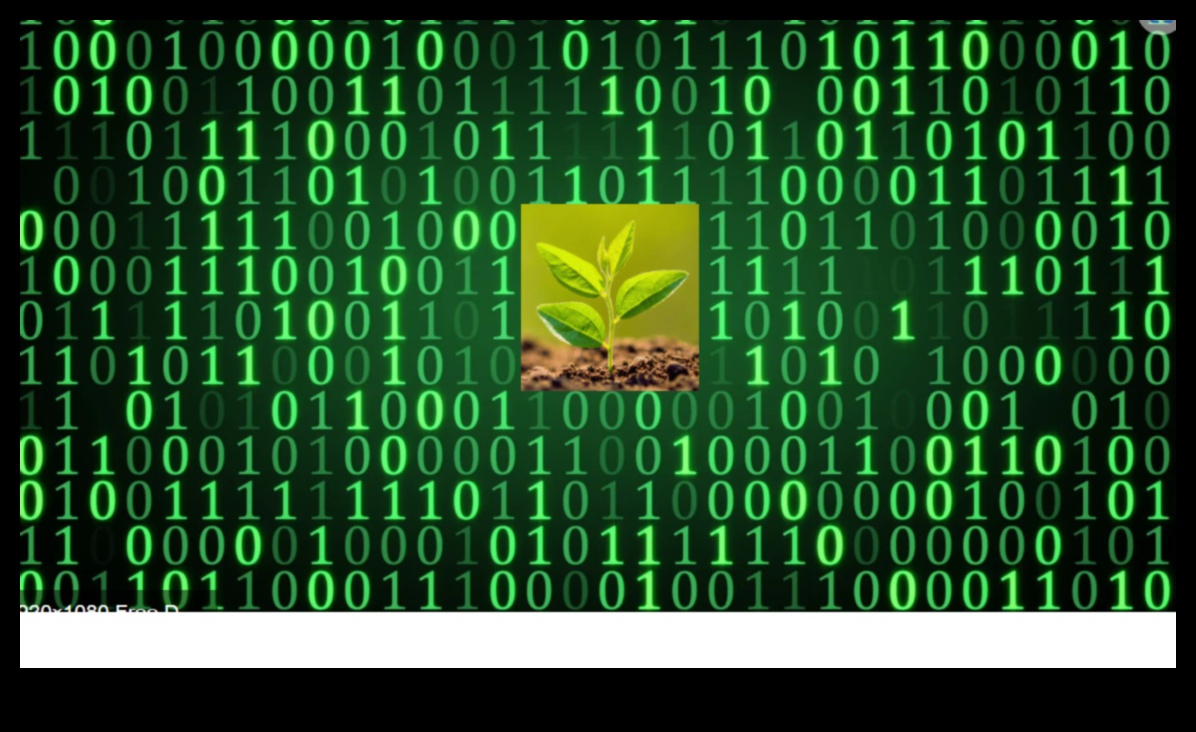 The Art of Green Code Ένας οδηγός για τη δημιουργική βιώσιμη κωδικοποίηση 5 The Art of Green Code: Mastering the Craft of Creative Sustainable Exploration