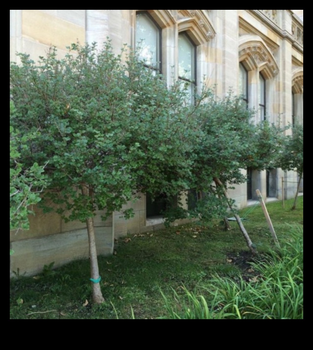 Τοπία Πολιτιστικής Κληρονομιάς: Απόηχοι του παρελθόντος