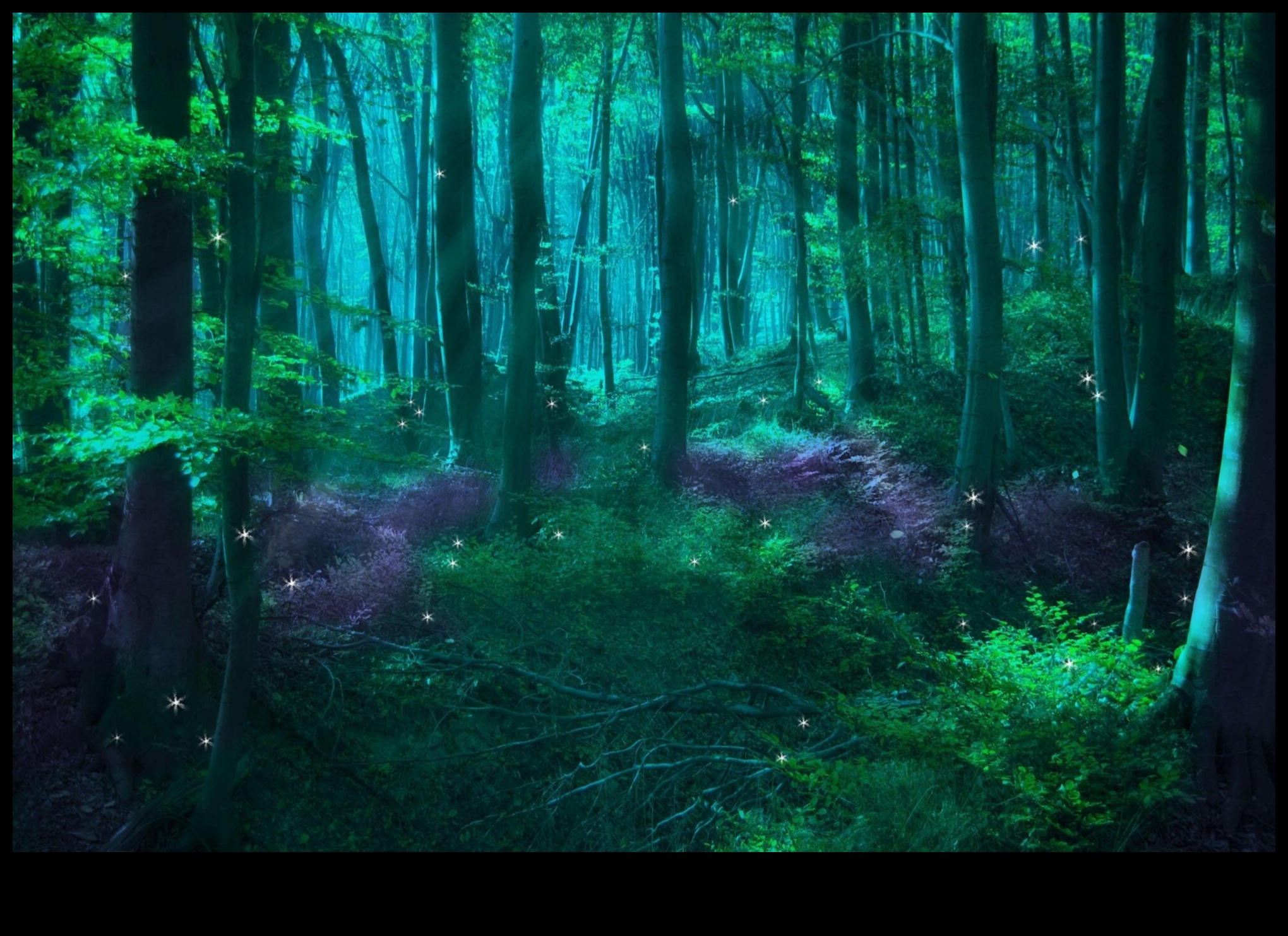 Η μαγεία των μαγεμένων δασών 5 Enchanted Forests: Mysteries Hidden in Woodland Scenes