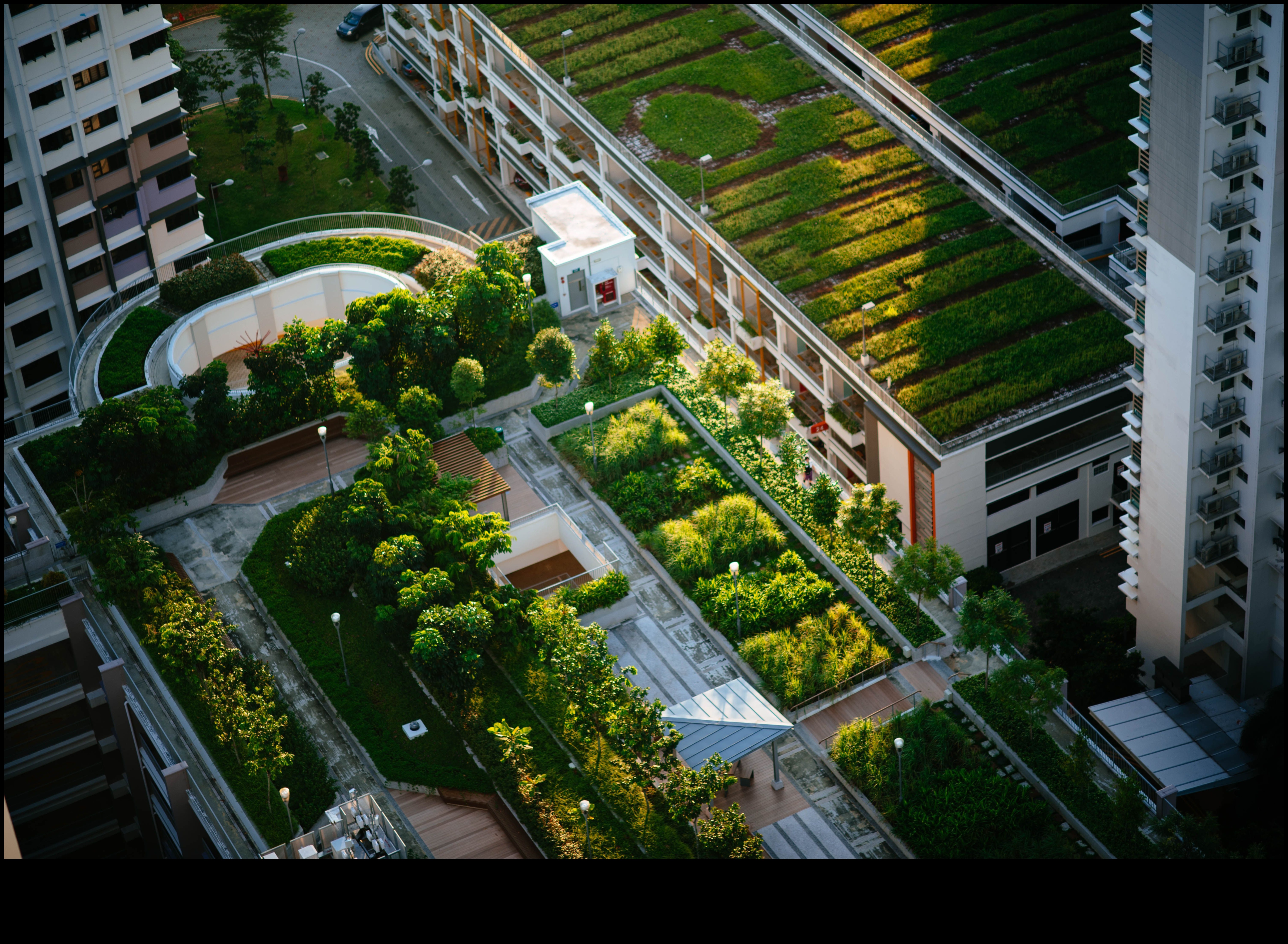 Τι ρόλο παίζουν τα αστικά δάση στη βελτίωση των τοπίων της πόλης;