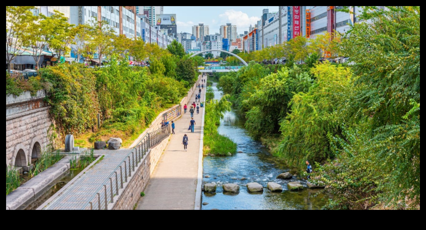 Τι ρόλο παίζουν τα αστικά δάση στη βελτίωση των τοπίων της πόλης;