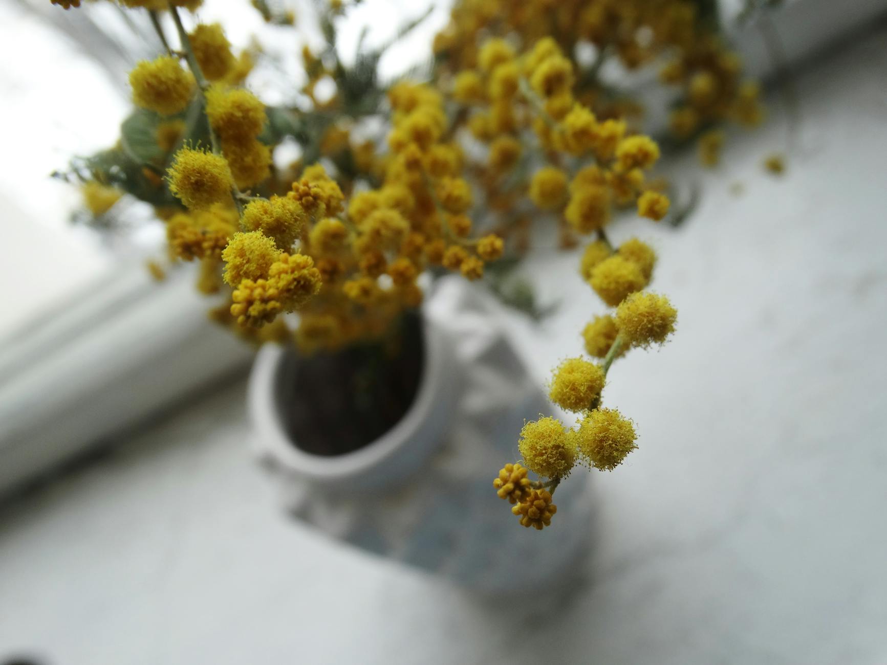 pexels φωτογραφία 1056610