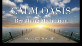 Calm Oasis Ένας καθημερινός κινητήρια δύναμη διαλογισμού για τη στη μείωση του του στρες 1 Calm Oasis: Ξεκλείδωμα μείωσης του στρες μέσω του καθημερινού διαλογισμού