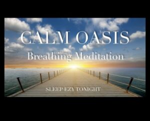 Calm Oasis: Ξεκλείδωμα μείωσης του στρες μέσω του καθημερινού διαλογισμού