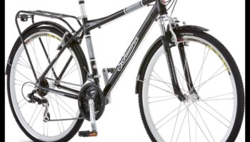 City Cruisers: Hybrids as Stylish Urban Commuting Partners