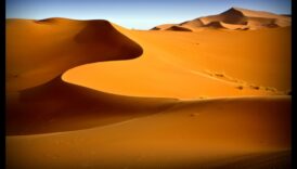 Embracing the Desert: Beauty in Arid Landscapes