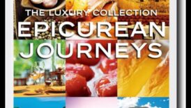 Epicurean Rides: The Culinary and Automotive Blend of Luxury Cars