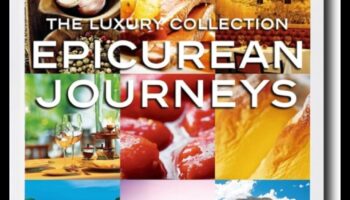 Epicurean Rides: The Culinary and Automotive Blend of Luxury Cars