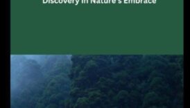 Into the Wilderness: Exploring Untouched and Raw Landscapes in Every Frame