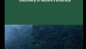 Into the Wilderness: Exploring Untouched and Raw Landscapes in Every Frame