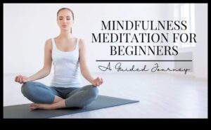 Mindful Journeys: A Guided Meditation Exploration