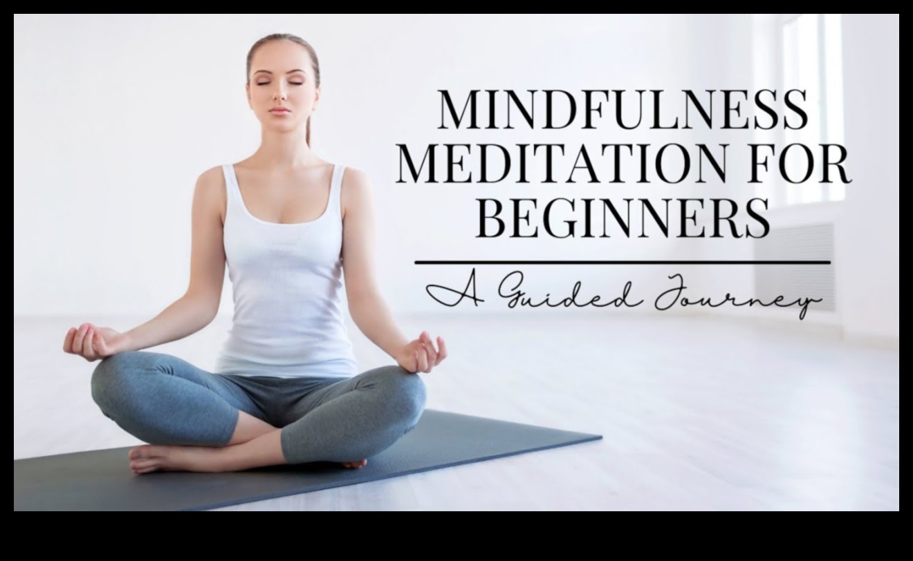 Mindful Journeys: A Guided Meditation Exploration