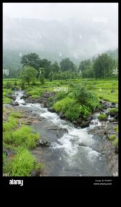 Rhythms of Rivulets II: Streams and Creeks Flowing Through Various Landscapes
