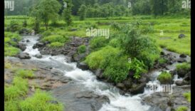 Rhythms of Rivulets II: Streams and Creeks Flowing Through Various Landscapes