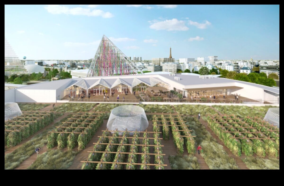 Sky Gardens: Rooftop Escapes in the Skyline