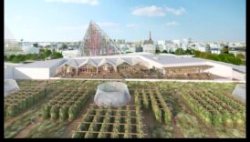 Sky Gardens: Rooftop Escapes in the Skyline