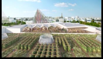 Sky Gardens: Rooftop Escapes in the Skyline