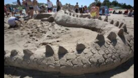 Desert Echoes: Sand Dunes Shaped by the Wind