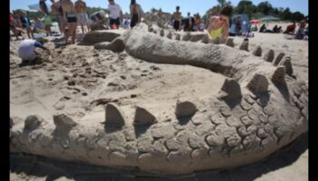 Desert Echoes: Sand Dunes Shaped by the Wind