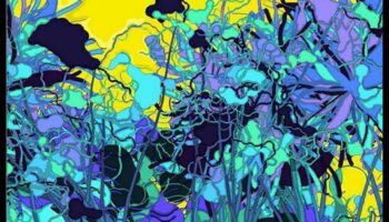 Creative Coding in Robotics: The Language of Visual Artisty in Automated Exploration