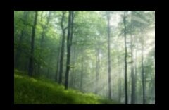 Η Γαλήνη της Φύσης 2 Whispers of Earth: Μια συλλογή από γαλήνια και ήρεμα τοπία σε κάθε κάδρο